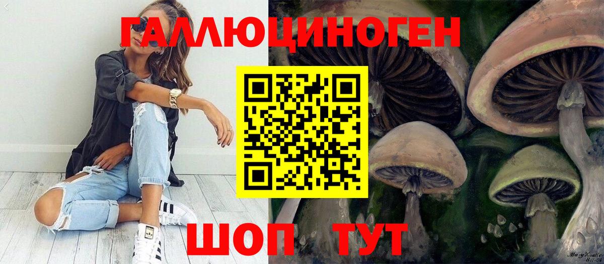 Псилоцибиновые грибы мицелий Лениногорск